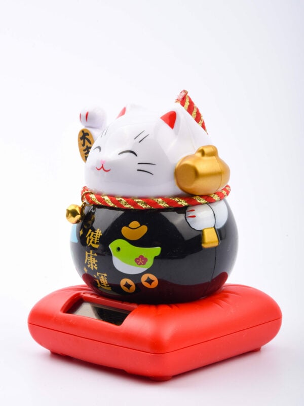 catbell-product-listing3_priyanka-scaled-1.jpg